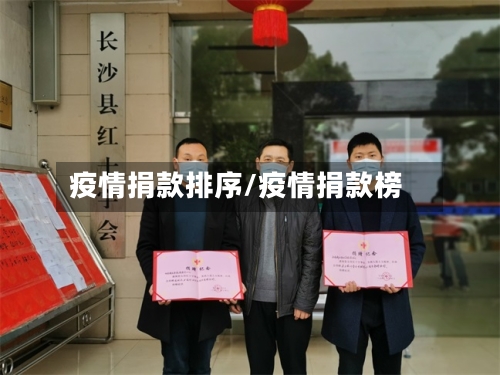 疫情捐款排序/疫情捐款榜
