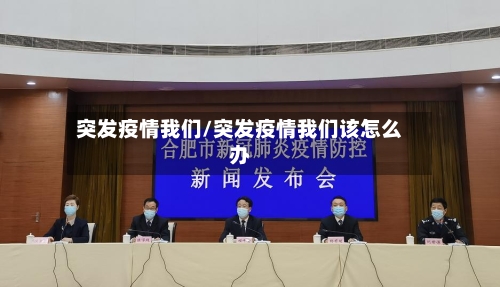 突发疫情我们/突发疫情我们该怎么办-第2张图片