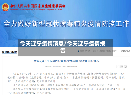 今天辽宁疫情消息/今天辽宁疫情报告-第3张图片