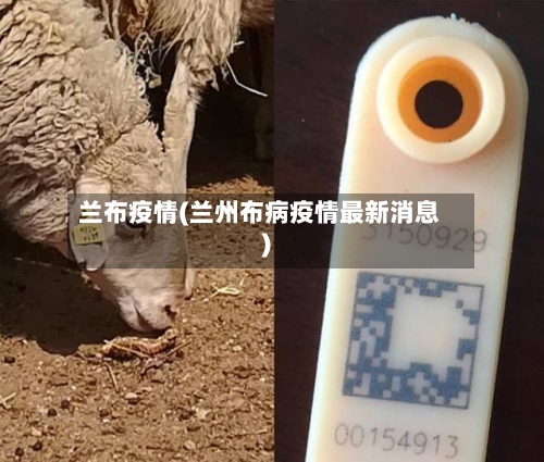 兰布疫情(兰州布病疫情最新消息)-第2张图片