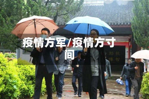 疫情方军/疫情方寸间-第2张图片