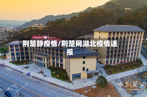 荆楚静疫情/荆楚网湖北疫情速报-第3张图片