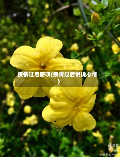 疫情过后感叹(疫情过后说说心情)-第3张图片