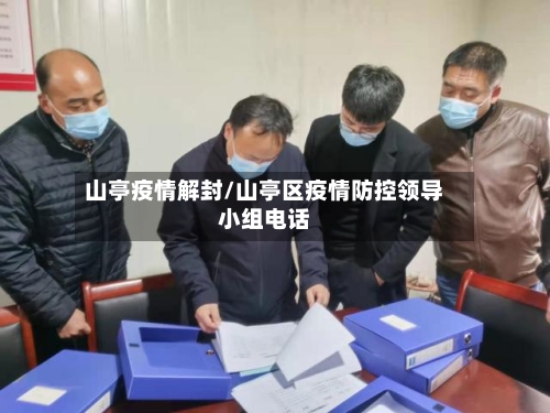 山亭疫情解封/山亭区疫情防控领导小组电话