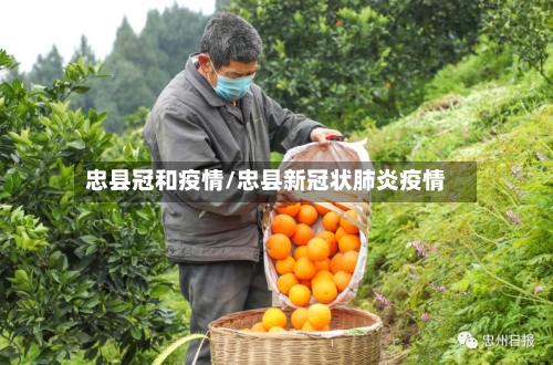 忠县冠和疫情/忠县新冠状肺炎疫情-第3张图片