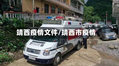 靖西疫情文件/靖西市疫情-第2张图片