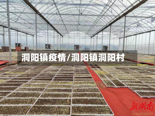 洞阳镇疫情/洞阳镇洞阳村-第2张图片