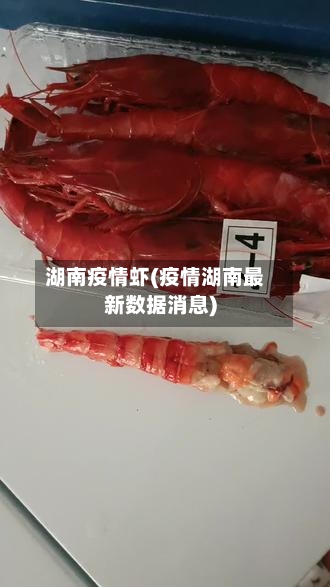 湖南疫情虾(疫情湖南最新数据消息)-第2张图片