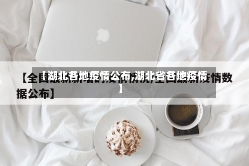 【湖北各地疫情公布,湖北省各地疫情】