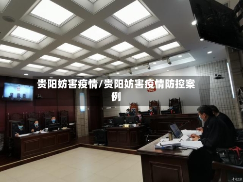 贵阳妨害疫情/贵阳妨害疫情防控案例
