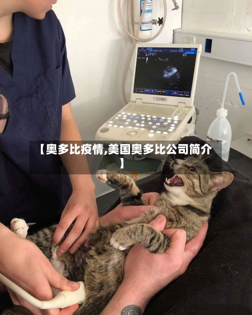 【奥多比疫情,美国奥多比公司简介】