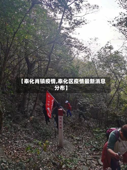 【奉化肖镇疫情,奉化区疫情最新消息分布】-第2张图片