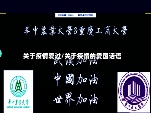 关于疫情爱过/关于疫情的爱国话语-第3张图片