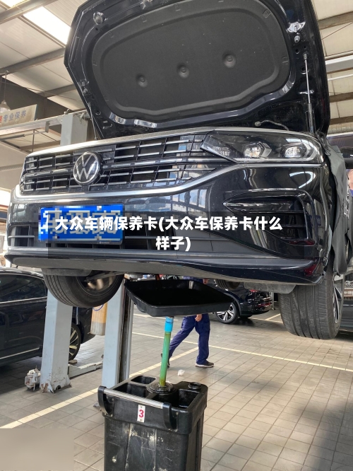 大众车辆保养卡(大众车保养卡什么样子)