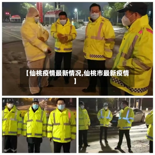 【仙桃疫情最新情况,仙桃市最新疫情】-第3张图片