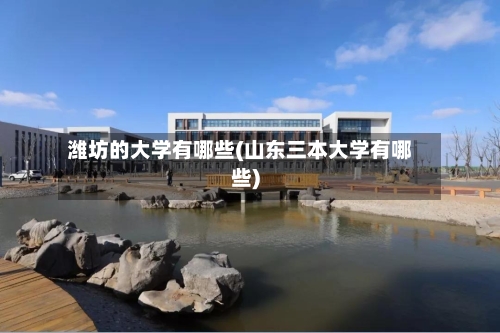 潍坊的大学有哪些(山东三本大学有哪些)-第3张图片