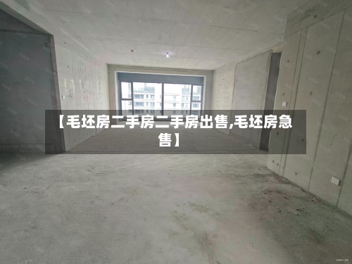 【毛坯房二手房二手房出售,毛坯房急售】-第3张图片