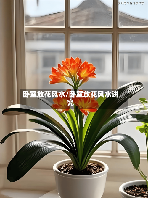 卧室放花风水/卧室放花风水讲究