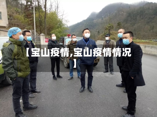 【宝山疫情,宝山疫情情况】