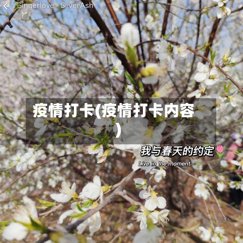 疫情打卡(疫情打卡内容)