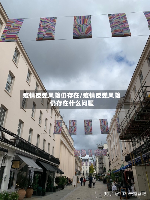 疫情反弹风险仍存在/疫情反弹风险仍存在什么问题
