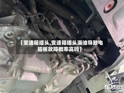 【变速箱插头,变速箱插头漏油导致电脑板故障概率高吗】