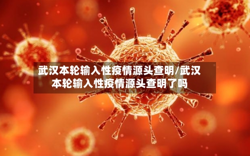 武汉本轮输入性疫情源头查明/武汉本轮输入性疫情源头查明了吗-第2张图片