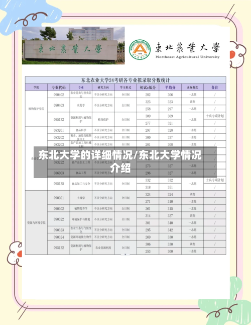 东北大学的详细情况/东北大学情况介绍