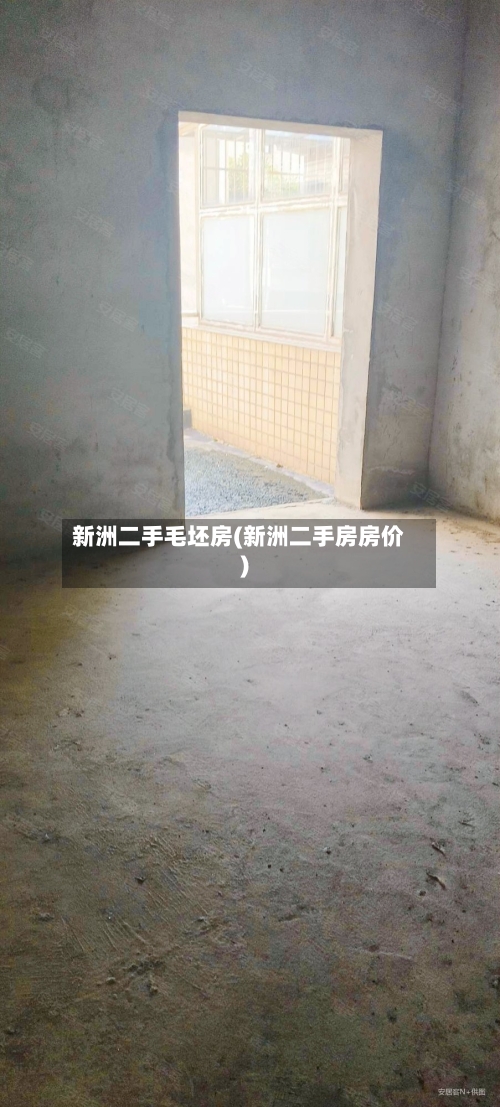 新洲二手毛坯房(新洲二手房房价)