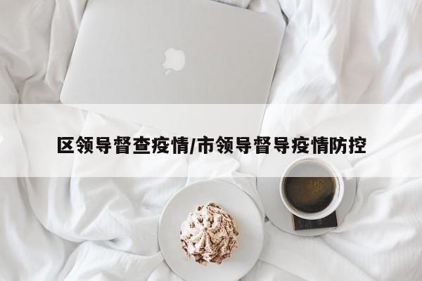 区领导督查疫情/市领导督导疫情防控