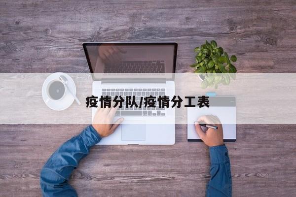 疫情分队/疫情分工表