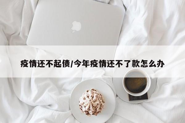 疫情还不起债/今年疫情还不了款怎么办