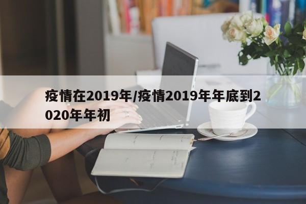 疫情在2019年/疫情2019年年底到2020年年初