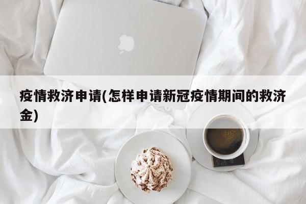 疫情救济申请(怎样申请新冠疫情期间的救济金)