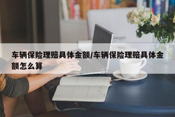 车辆保险理赔具体金额/车辆保险理赔具体金额怎么算
