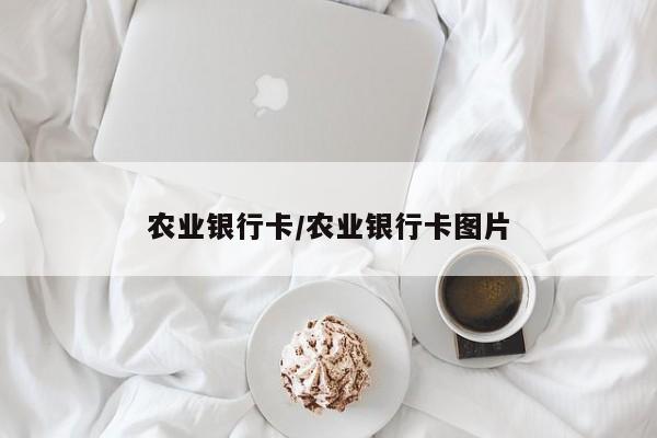 农业银行卡/农业银行卡图片